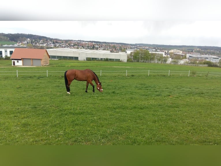 Freie Innenboxen in Aalen