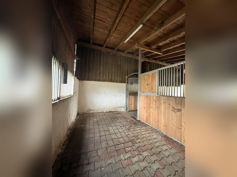 freie Pferdebox in Privatstall mit Wohnmöglichkeit(2-Raum-Wohnung