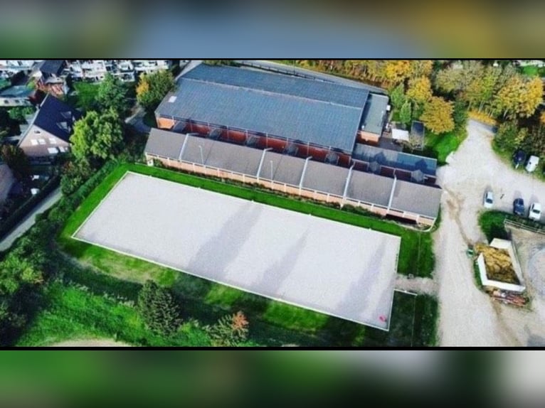 Ganze Stallgasse inkl. Sattelkammer zu vermieten