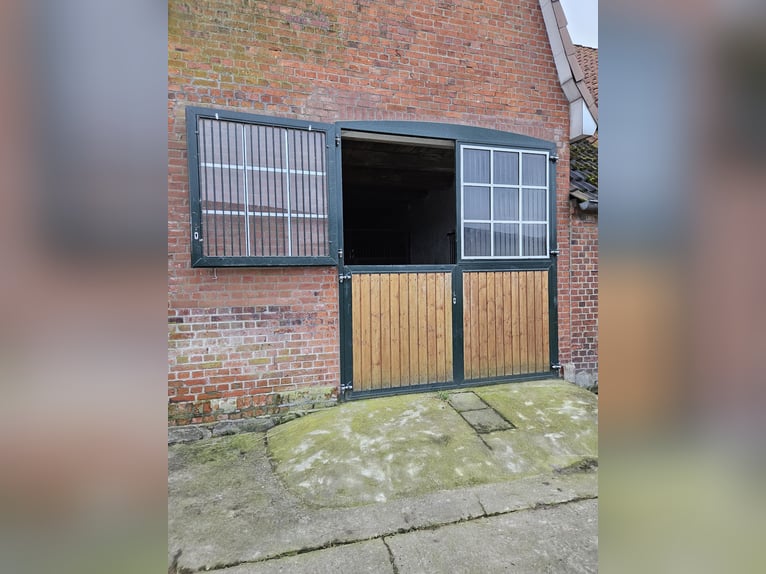 gr.Boxen sowie Stalltrakt frei