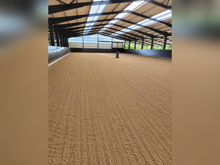 Idyllischer Stalltrack zu verpachten, 8 Boxen, Außenpaddocks, Laufstall (ganz oder teilweise)