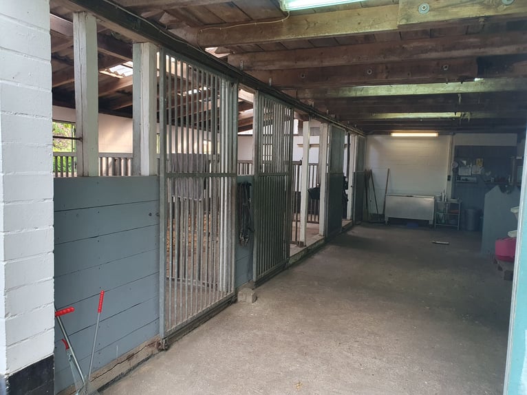 Kleiner Privatststall hat eine Box frei