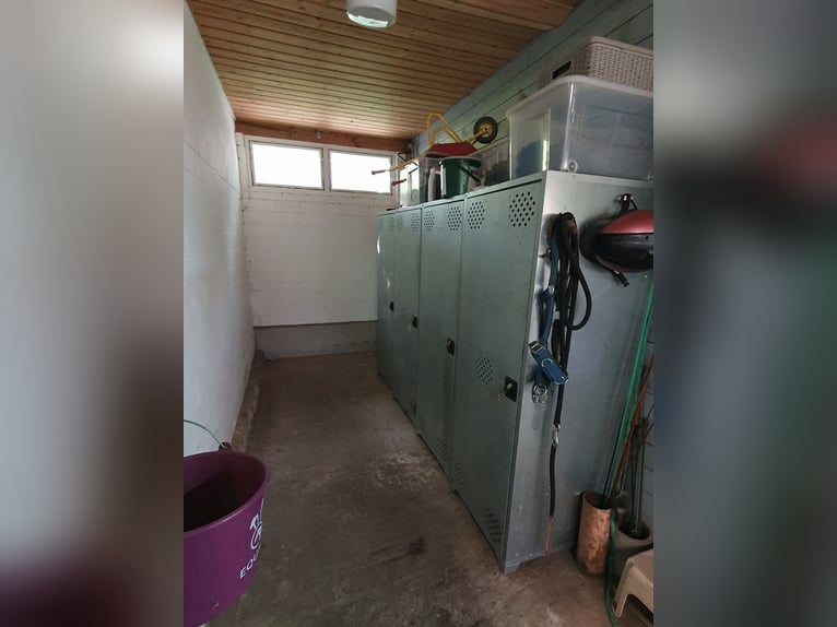 Kleiner Privatststall hat eine Box frei