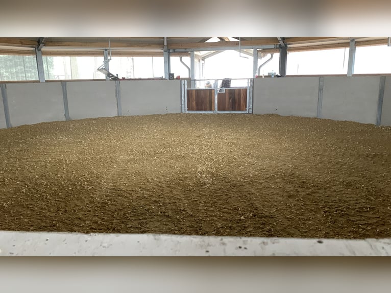 Pferdebox auf Top Anlage