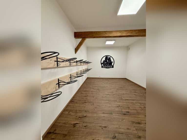 Pferdebox / Box im Reitstall / Pferdestall / Stall