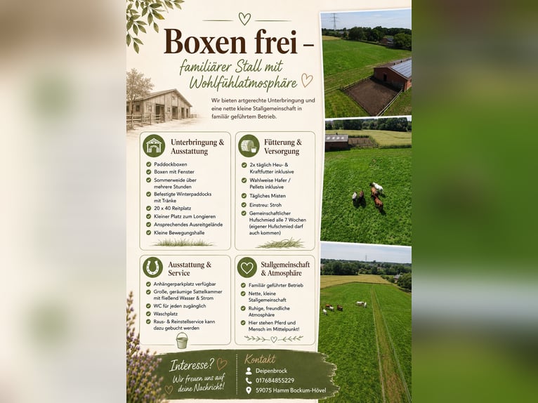 Pferdebox frei