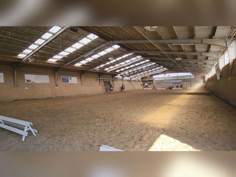 Stallgasse für 4, 5 , 10 oder 14 Pferde für Selbstversorger