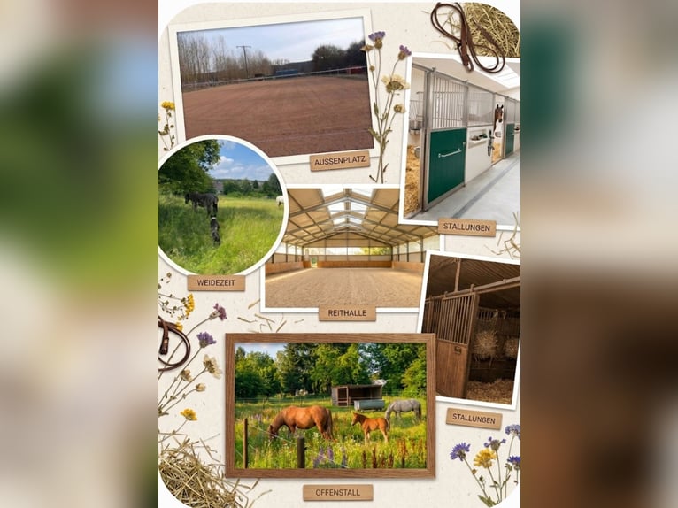 Stalltrakt / Offenstall / Einzelboxen
