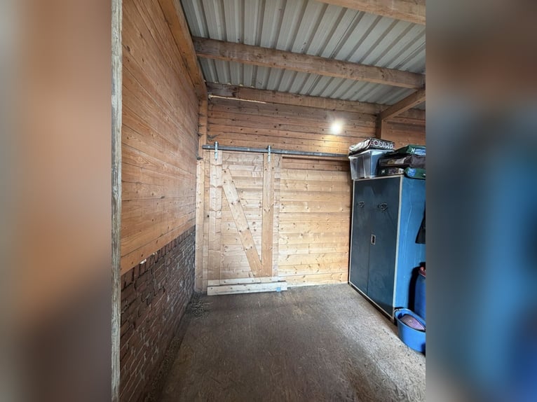 Wir bieten 2 Boxenplätze und einen Offenstall an