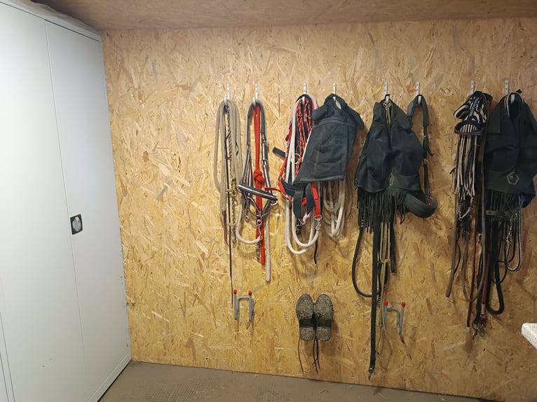 Einstellplatz für Freizeitreiter
