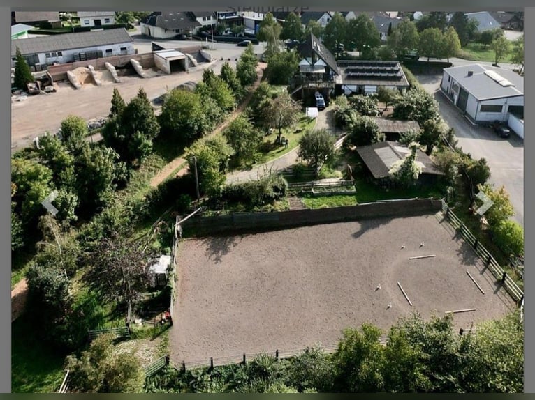 Familiär geführter Offenstall in schöner Eifellage für Freizeit-, Rentner- und Gnadenbrotpferde