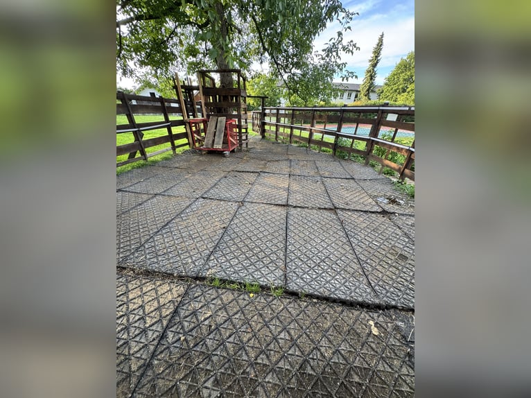 Günstiger, traumhafter Einstellplatz 