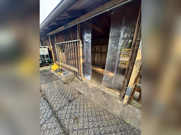 Günstiger, traumhafter Einstellplatz 