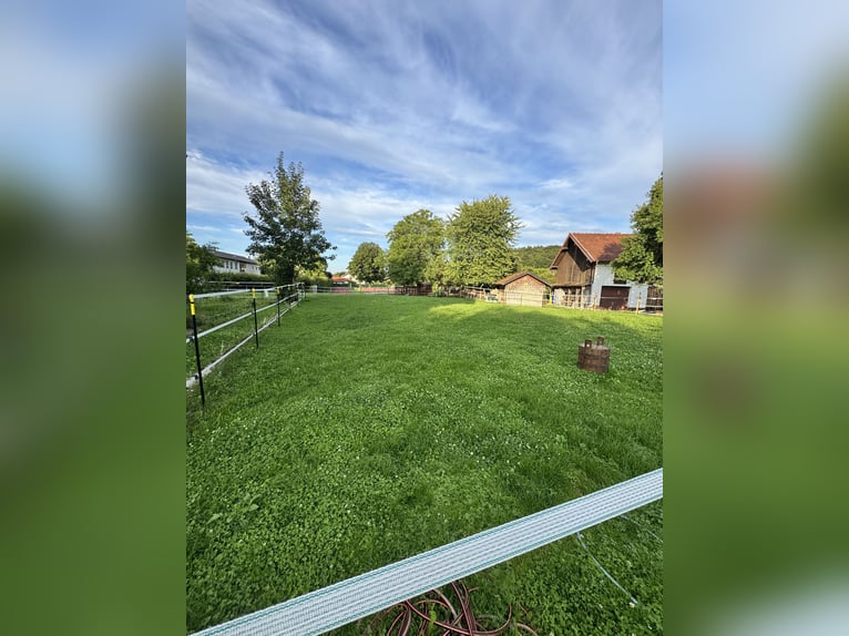 Günstiger, traumhafter Einstellplatz 