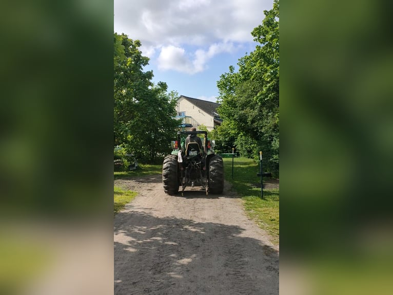 Idyllischer Offenstall im Grünen (Vollpension)
