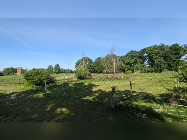 Offenstall, 1-2 Offenstallplätze in Wallachherde ab sofort  frei