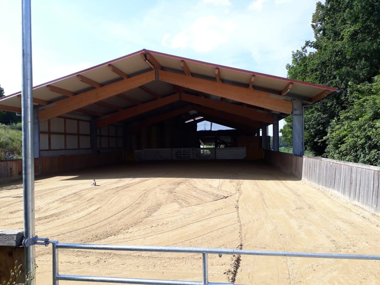 Offenstall Antersberg 83104 - freie Plätze 