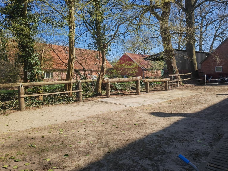 Offenstall