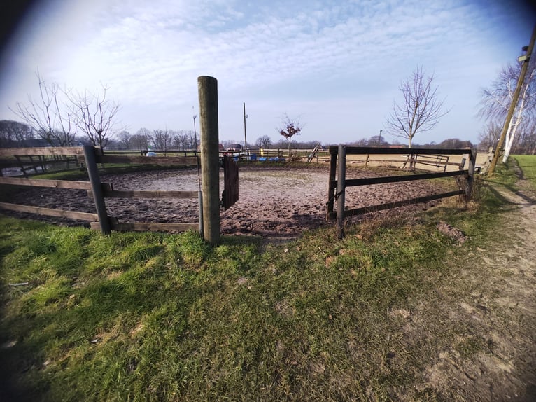 Offenstall