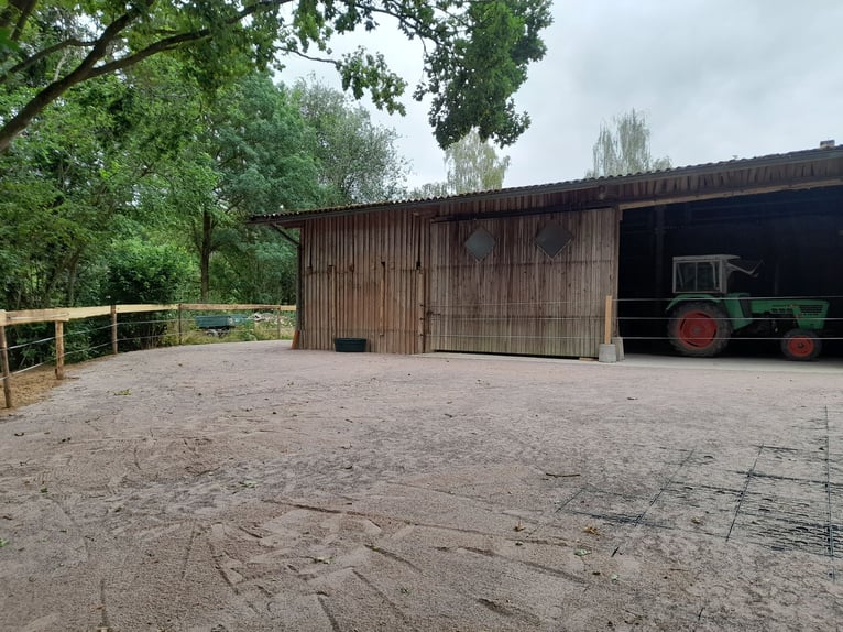 Offenstall Platz frei