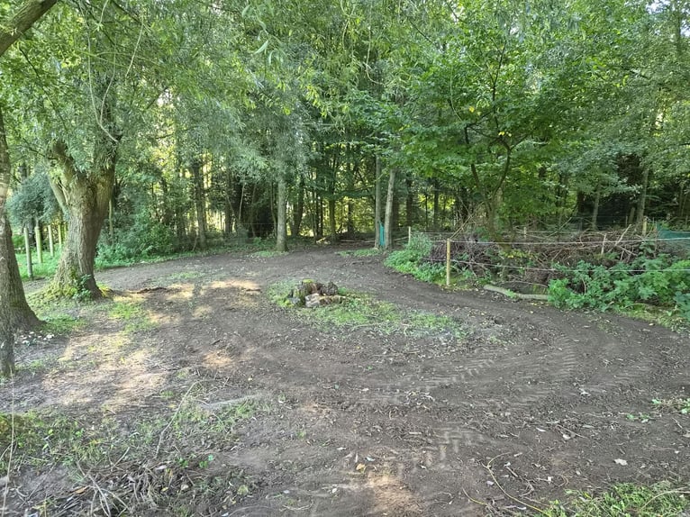 Offenstall/Paddocktrail in Niederkrüchten-Elmpt 4 Plätze frei
