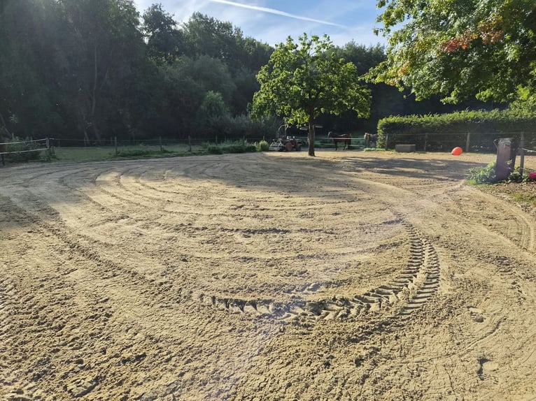 Offenstall/Paddocktrail in Niederkrüchten-Elmpt 4 Plätze frei