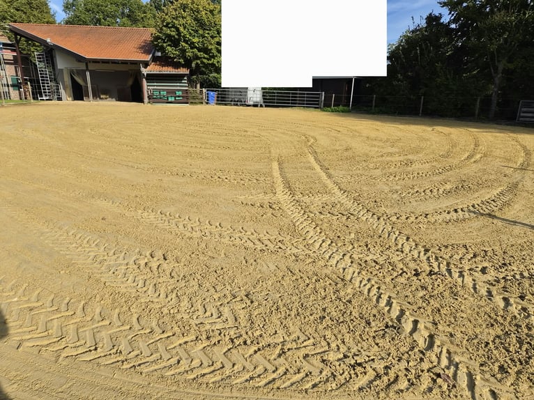 Offenstall/Paddocktrail in Niederkrüchten-Elmpt 4 Plätze frei