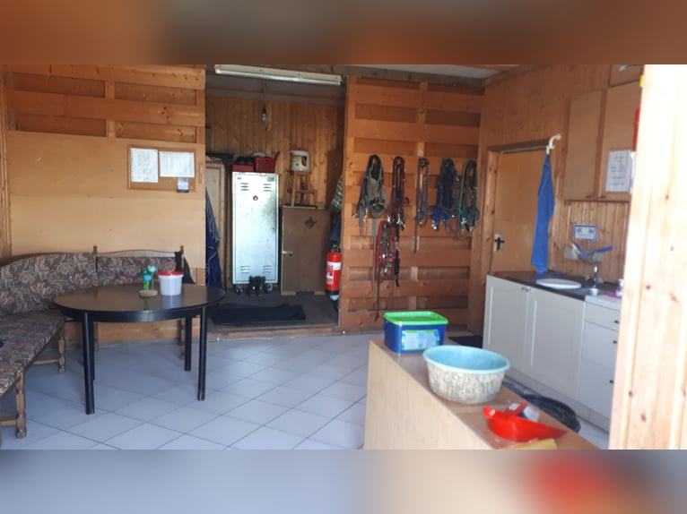 Offenstallplätze frei