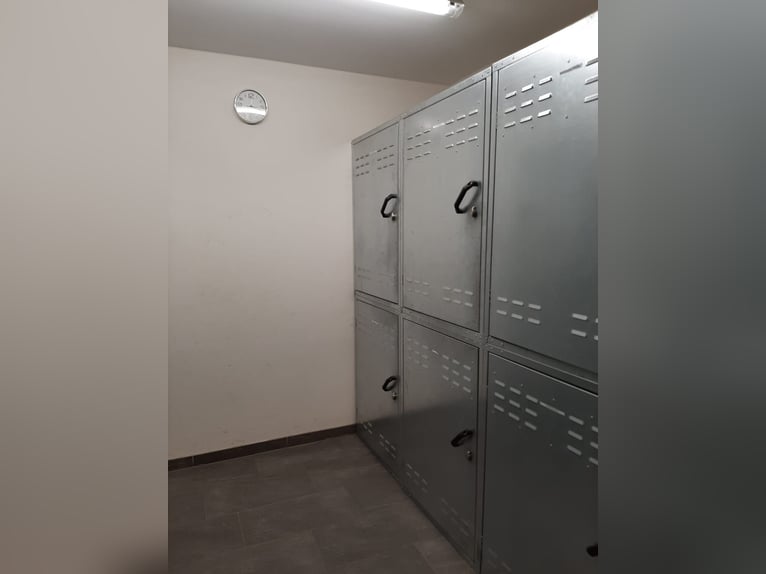 Offenstallplätze für Pferde frei, Belm bei Osnabrück