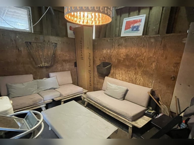 Offenstallplatz frei in 22397 Hamburg, Lemsahl-Mellingstedt