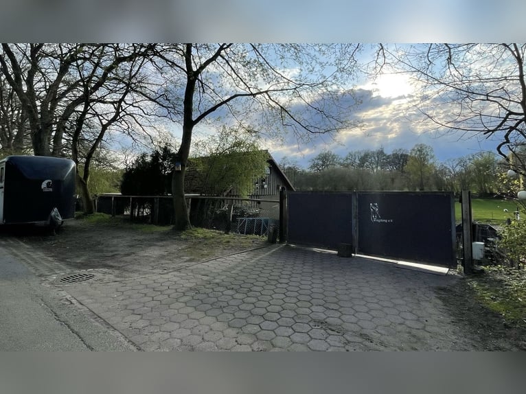 Offenstallplatz frei in 22397 Hamburg, Lemsahl-Mellingstedt