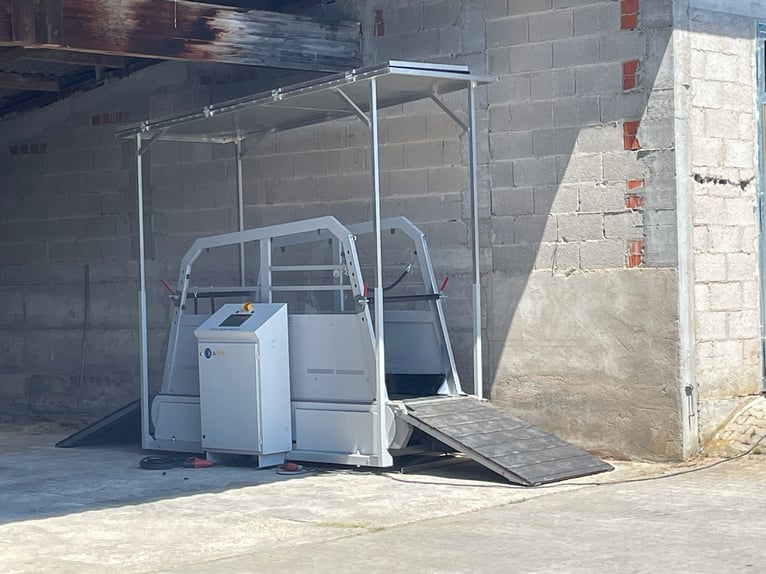 Offenstallplatz für Wallach frei