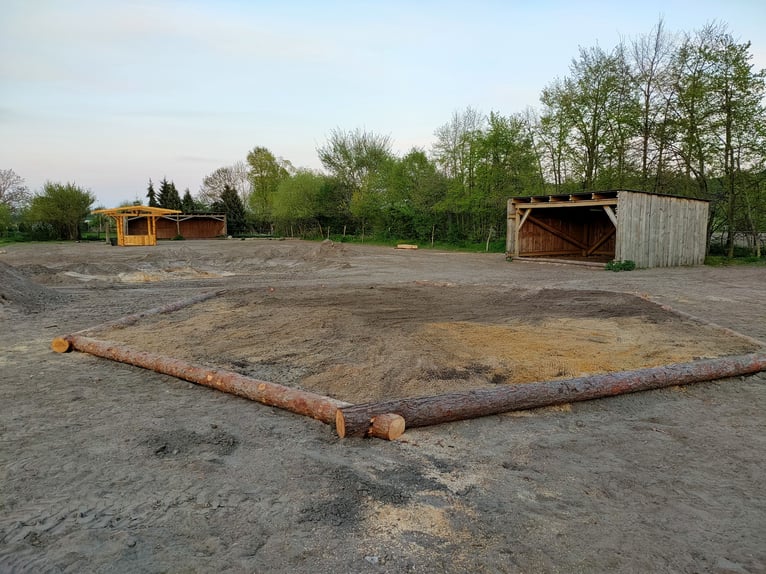 Offenstallplatz für Wallache in Mietgendorf