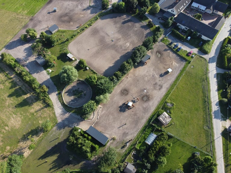 Offenstallplatz für Wallache in Mietgendorf