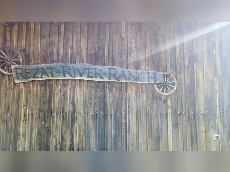 Offenstallplatz in 91187