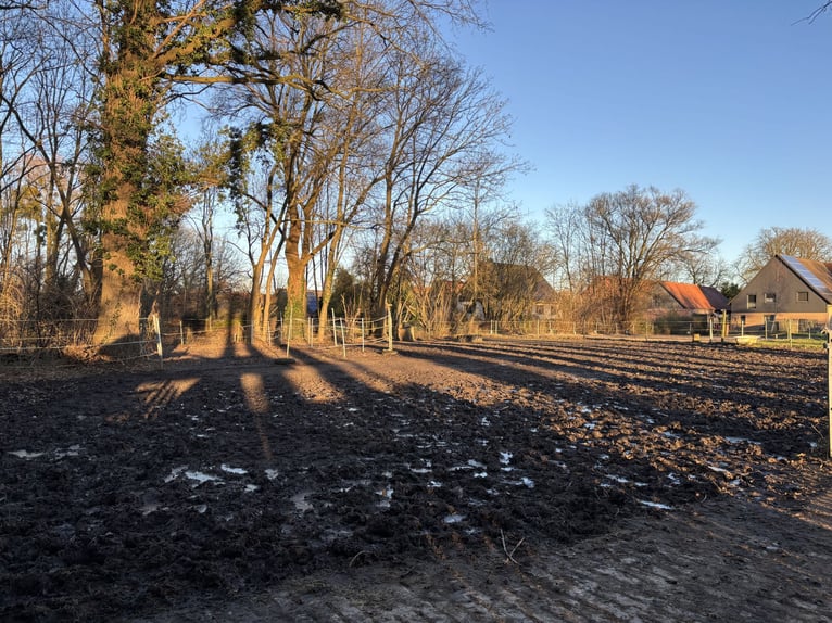 Offenstallplatz in Stutenherde/ Idensen 