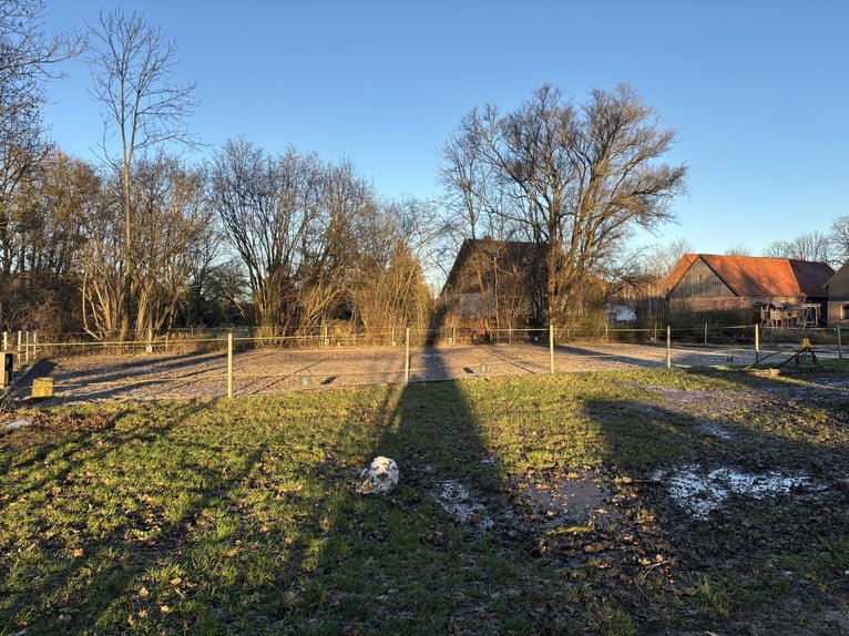 Offenstallplatz in Stutenherde/ Idensen 
