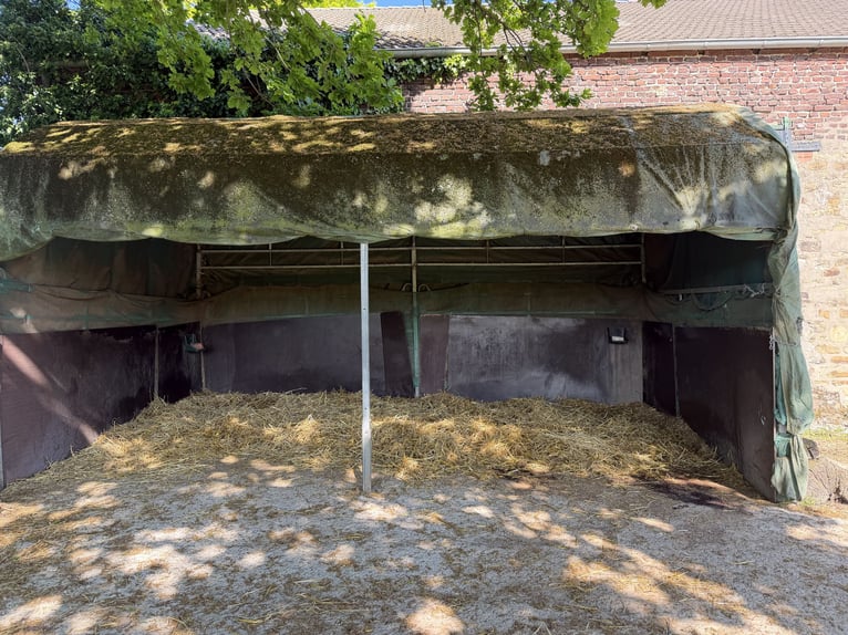 Offenstallplatz