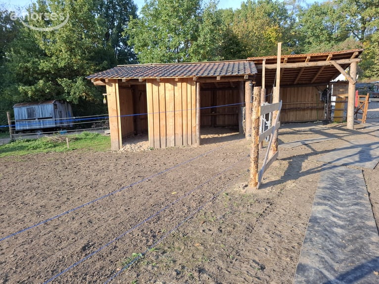Offenstallplatz
