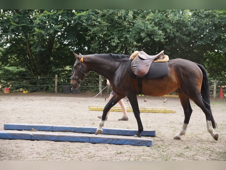 Paddock Trail bei Putlitz