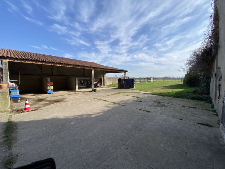 Pension vor Ort oder Paddock