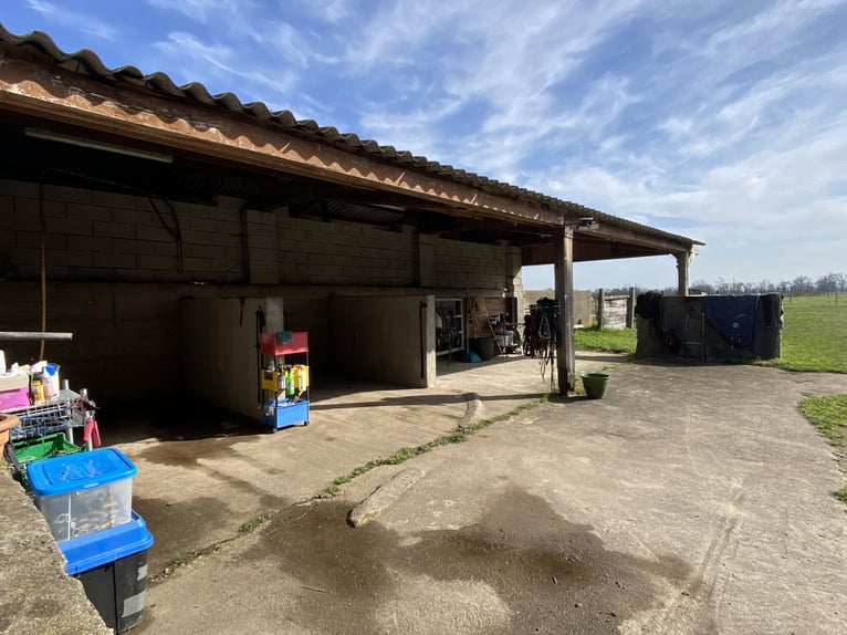 Pension vor Ort oder Paddock