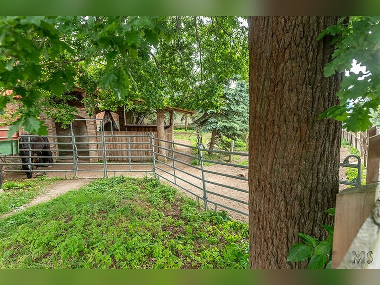 Platz im Mini-Paddock-Trail in Südostniedersachsen zu vergeben