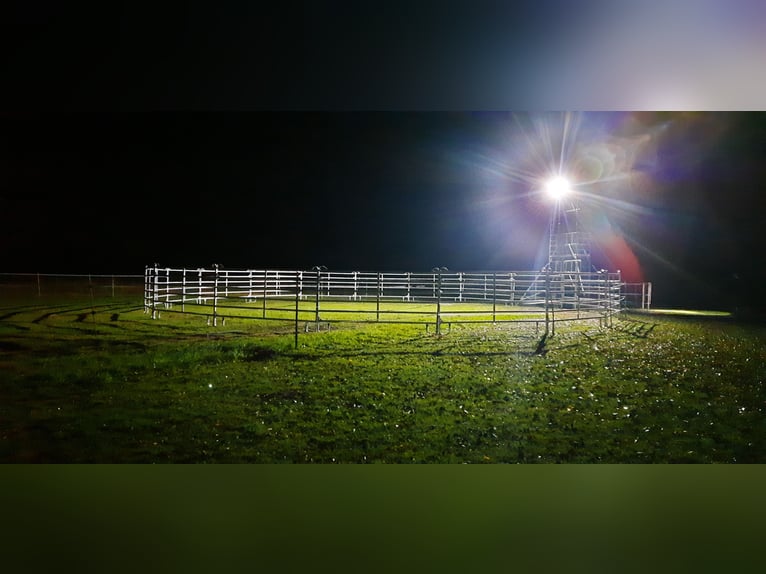 Platz im Offenstall in  kleiner privater Reitanlage