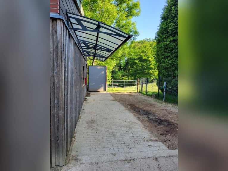 Platz in Offenstall in Essen Schuir / Kettwig