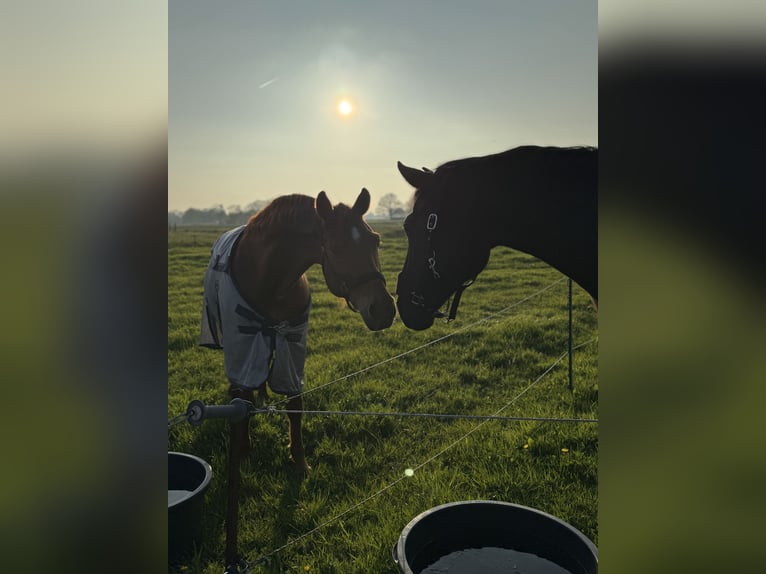 Rehaplatz direkt an der Nordsee