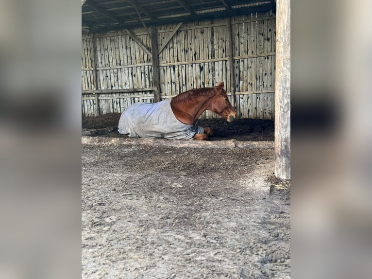 Rehaplatz direkt an der Nordsee