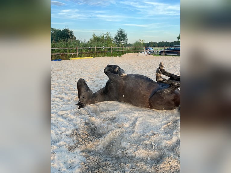 Rehaplatz direkt an der Nordsee