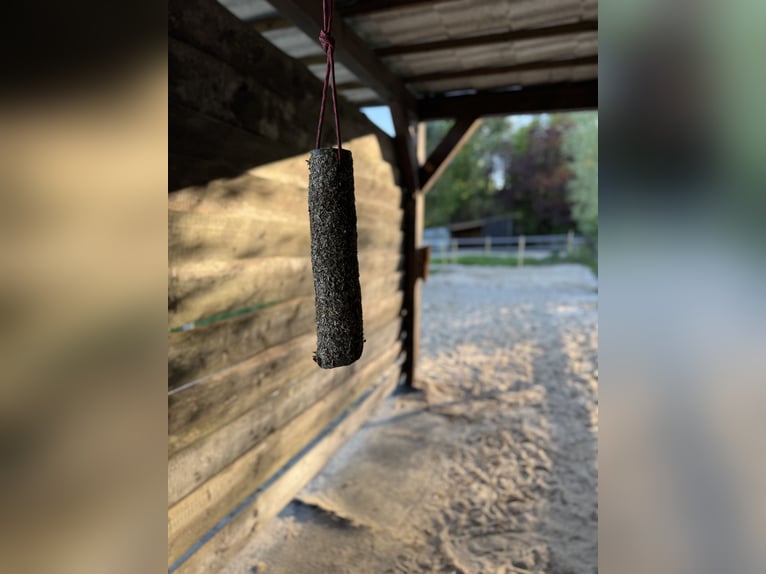 Rehaplatz direkt an der Nordsee