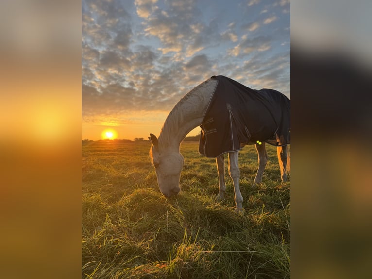 Rehaplatz direkt an der Nordsee